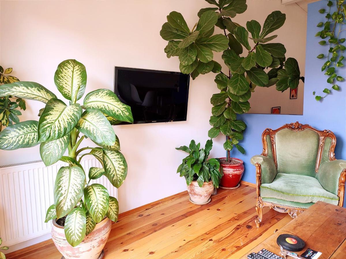 Kunterbunt Istanbul Apartment Екстериор снимка